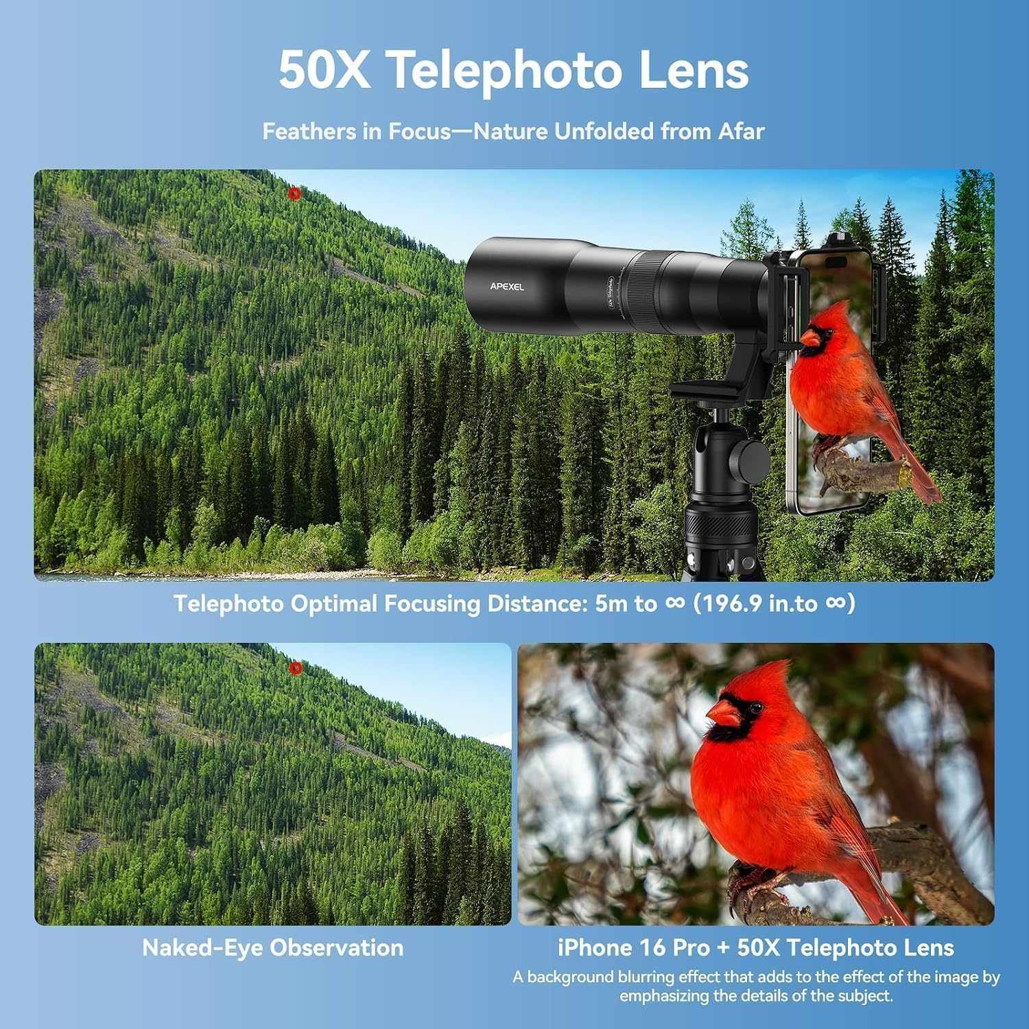 APEXEL Telecular 20–60x ammattitasoinen kompakti zoomobjektiivi älypuhelimille